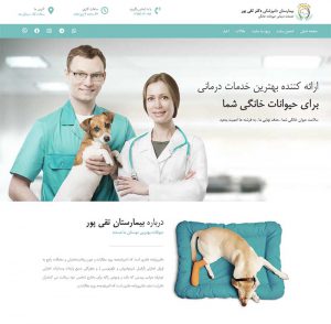 طرح رویا - طراحی سایت 3